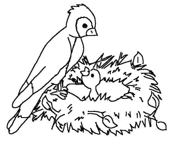 Vogel Gratis ausmalbilder