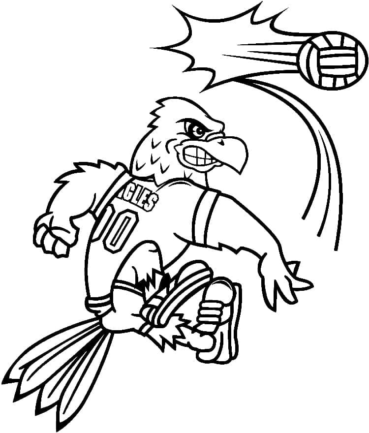 Volleyball Bild Kostenlos ausmalbilder