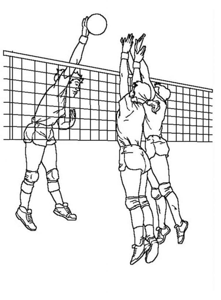 Volleyball Zum Drucken Gratis ausmalbilder