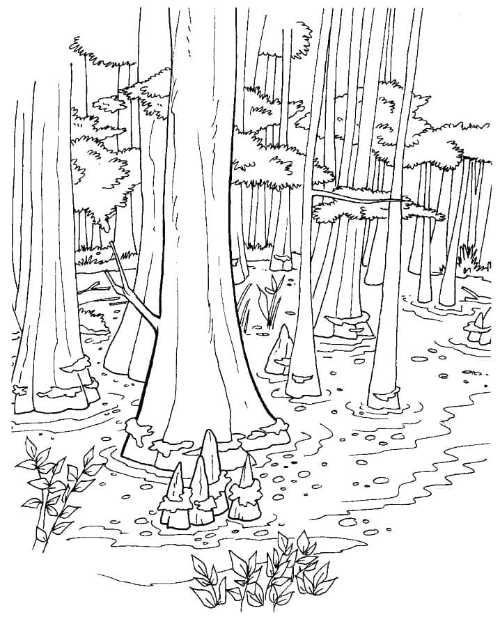 Wald ausdrucken ausmalbilder