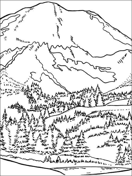 Wald druckfertig ausmalbilder