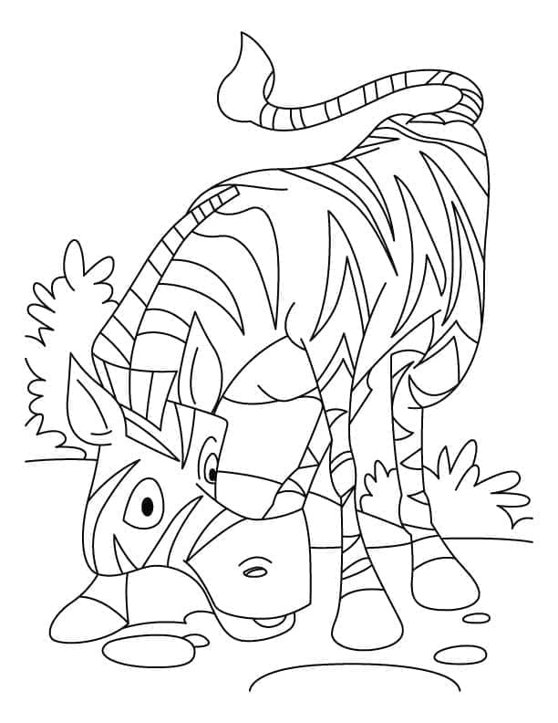 Zebra Drucken ausmalbilder