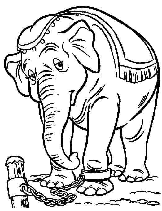 Druckbares Dumbo Bild ausmalbilder