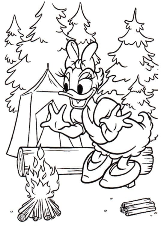 Kostenlos druckbare Daisy Duck ausmalbilder