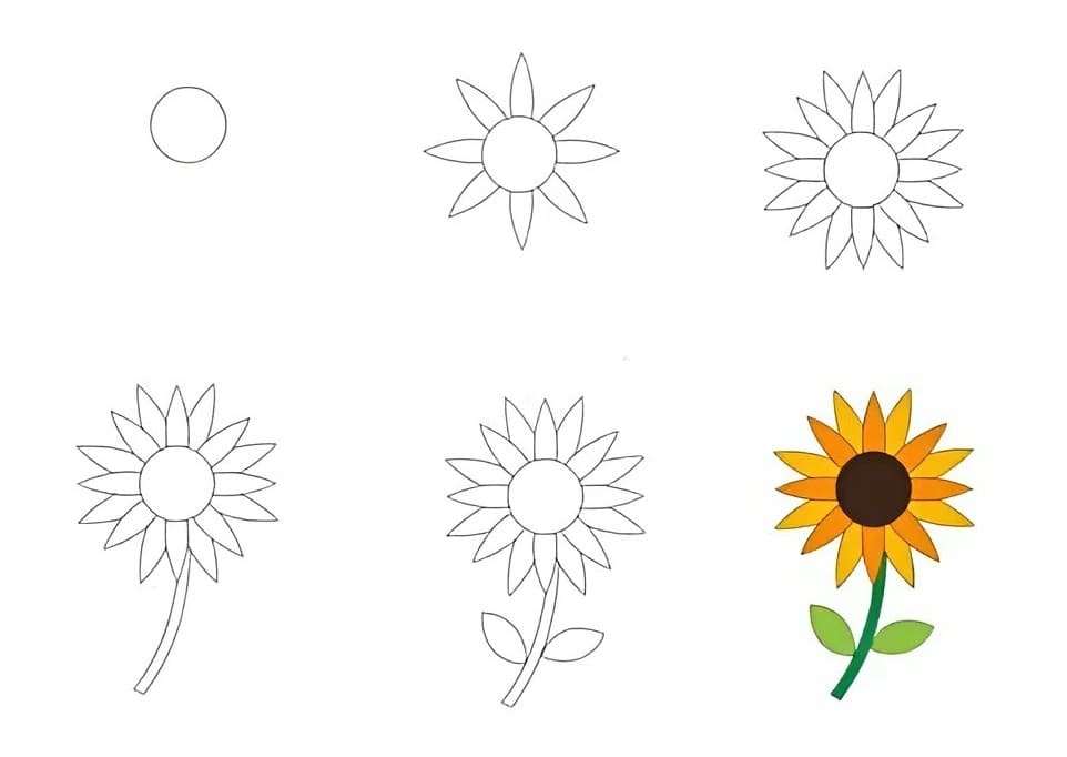 Wie zeichnet man eine Sonnenblume