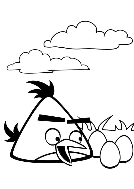 Angry Birds 3 ausmalbilder