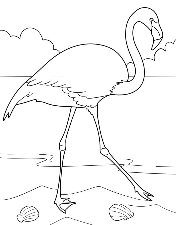 Animated Flamingo ausmalbilder