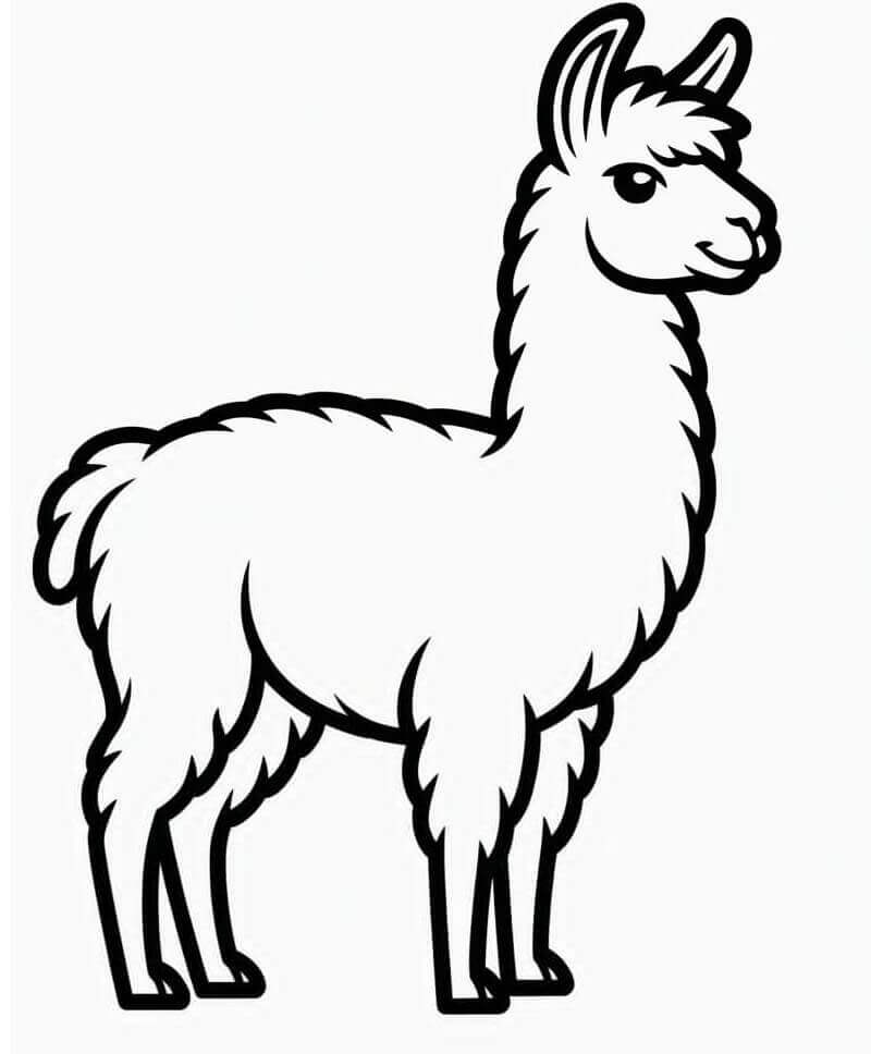 Animated Lama ausmalbilder