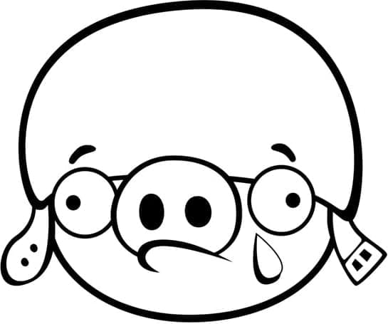 Ausdruckbare Angry Birds ausmalbilder