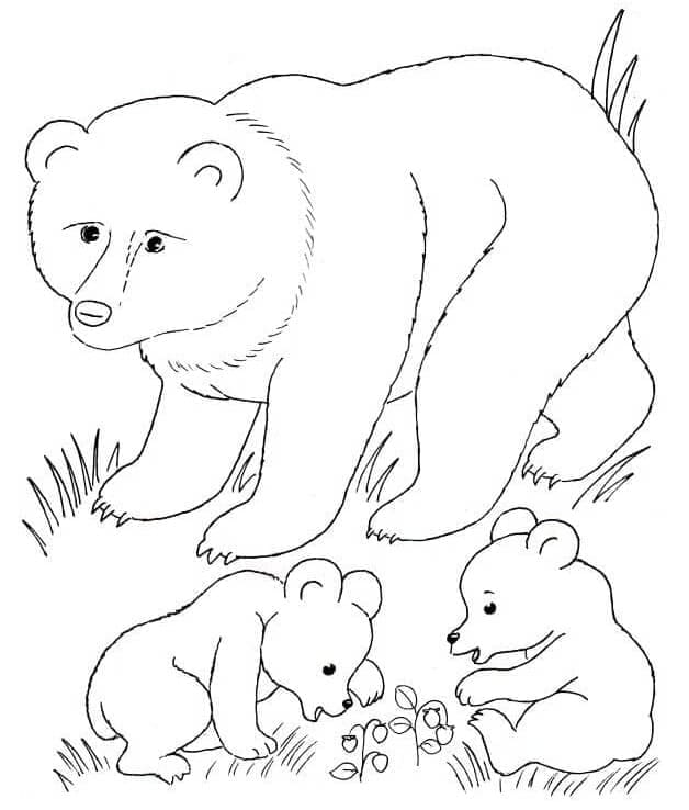Ausdruckbare Bärenbilder für Kinder ausmalbilder