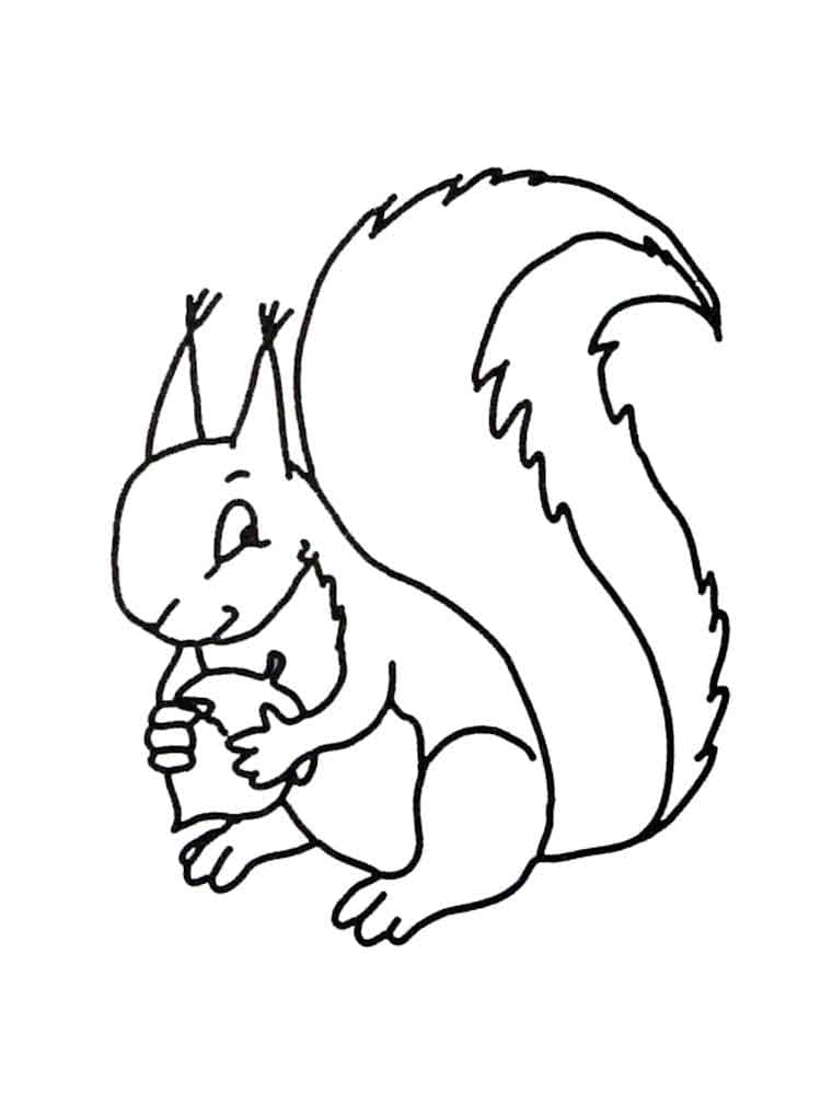 Ausdruckbare Eichhörnchen Bilder für Kinder ausmalbilder