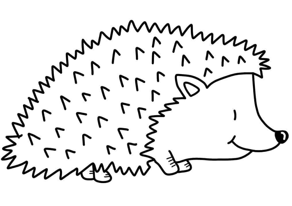 Ausdruckbare Igel Bilder für Kinder ausmalbilder