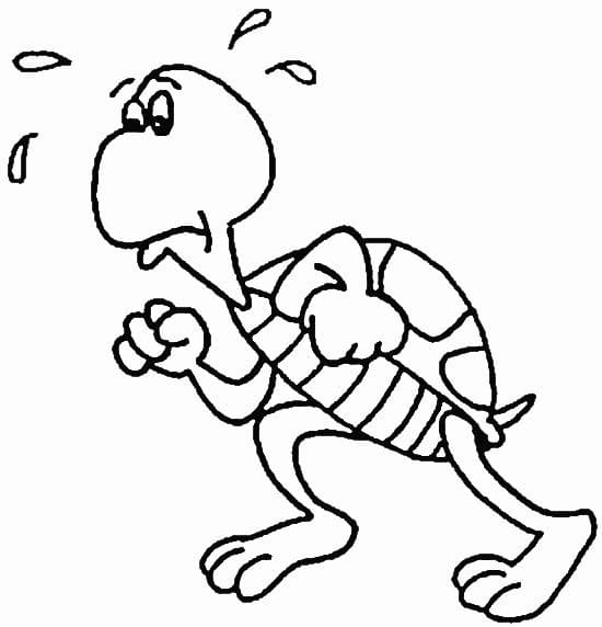 Ausdruckbare Schildkröte für Kinder ausmalbilder