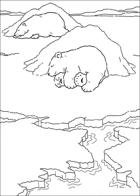 Ausdruckbarer Der kleine Eisbär ausmalbilder