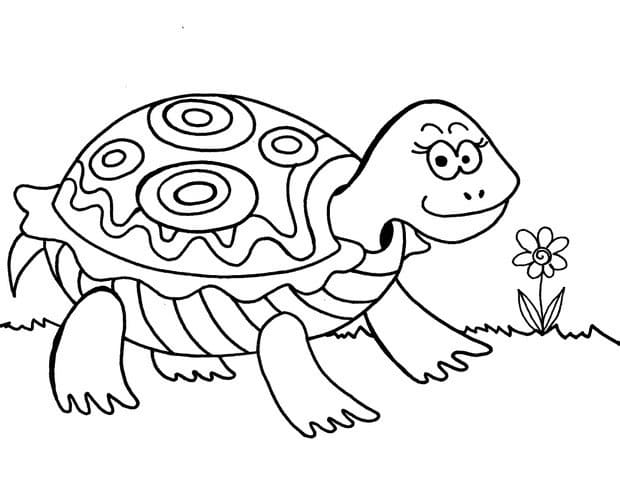 Ausdruckbares Bild einer Schildkröte ausmalbilder