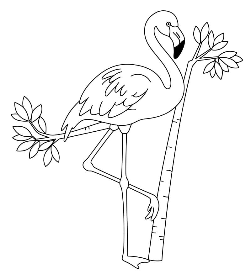 Ausdruckbares Bild von Flamingo ausmalbilder