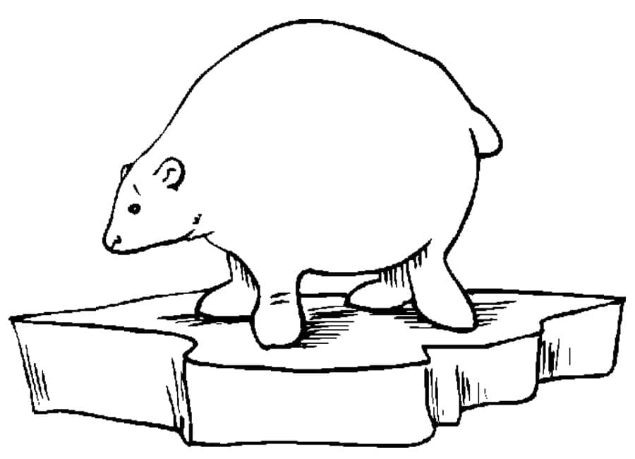 Ausdruckbares Bild von einem Eisbären ausmalbilder