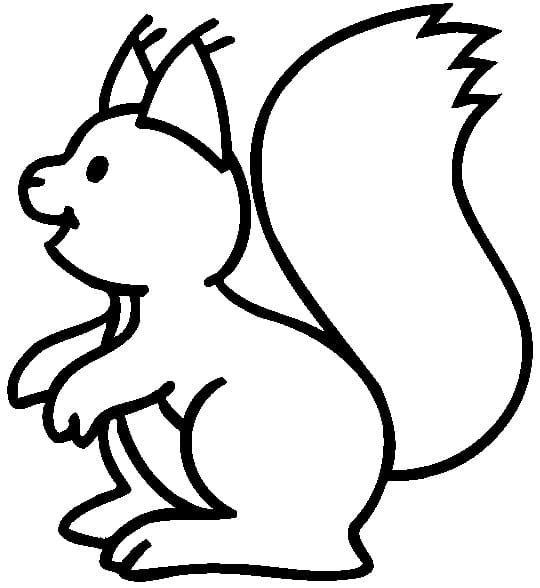 Ausdruckbares Eichhörnchen Bild ausmalbilder