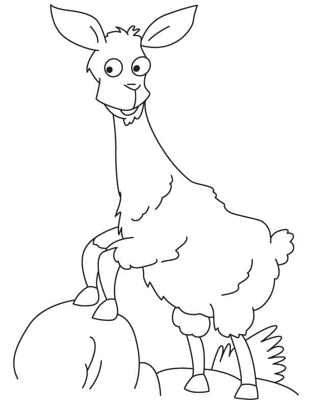 Ausdruckbares Lama ausmalbilder