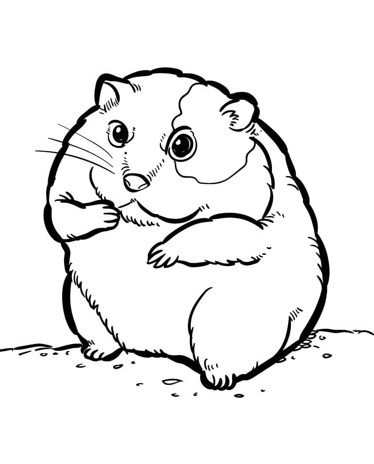 Baby Hamster ausmalbilder