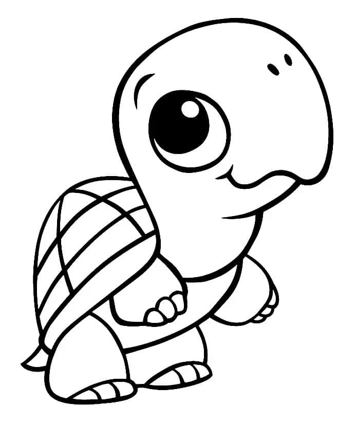 Babyschildkröte ausmalbilder
