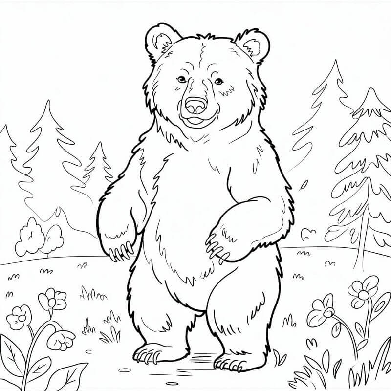 Bär kostenlos ausmalbilder