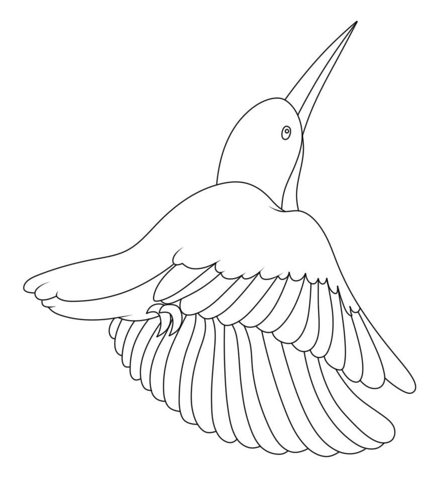 Beeindruckender Kolibri ausmalbilder