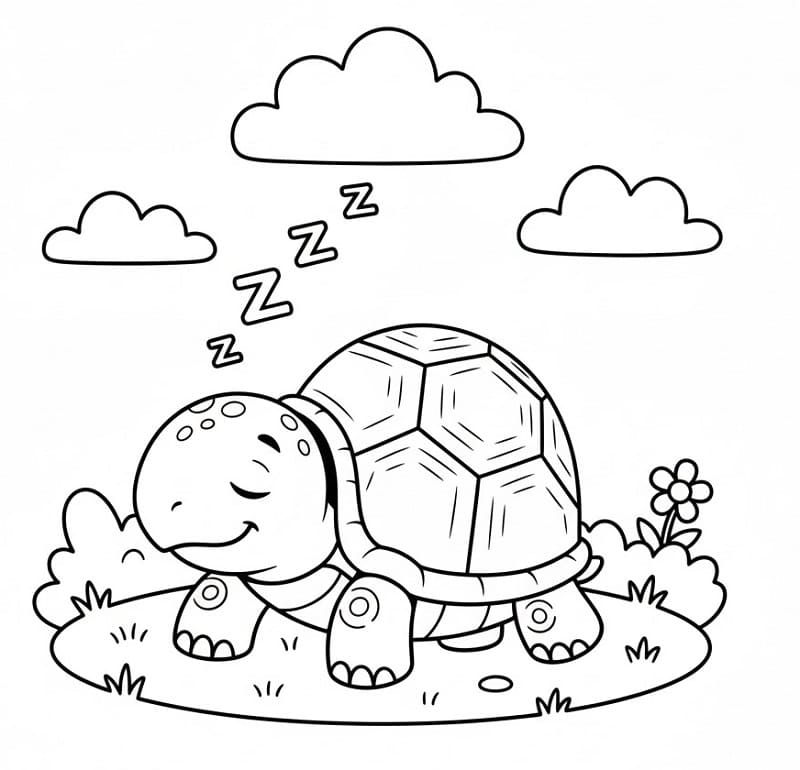 Bezaubernde Schildkröte ausmalbilder