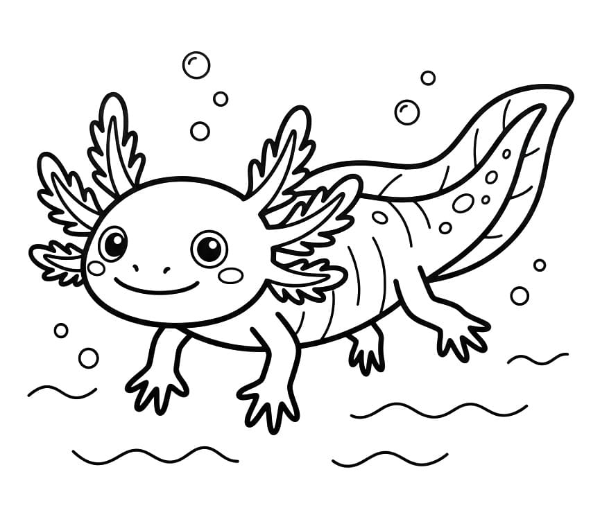Axolotl ausmalbilder