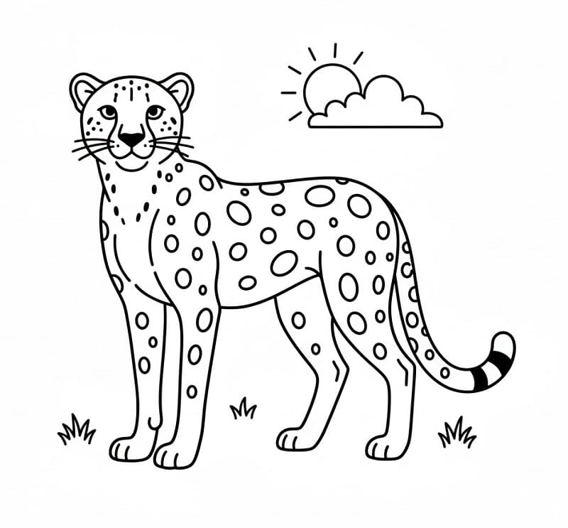 Cartoon Gepard ausmalbilder
