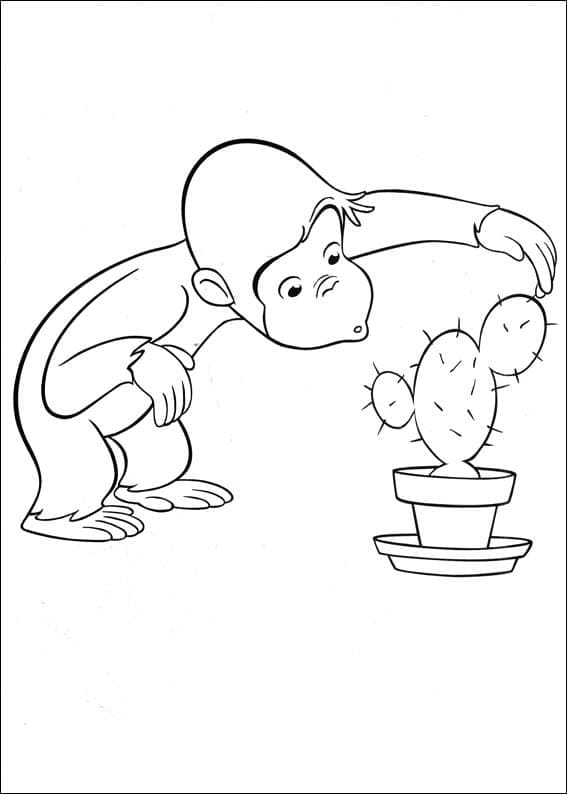 Coco Der Neugierige Affe (19) ausmalbilder