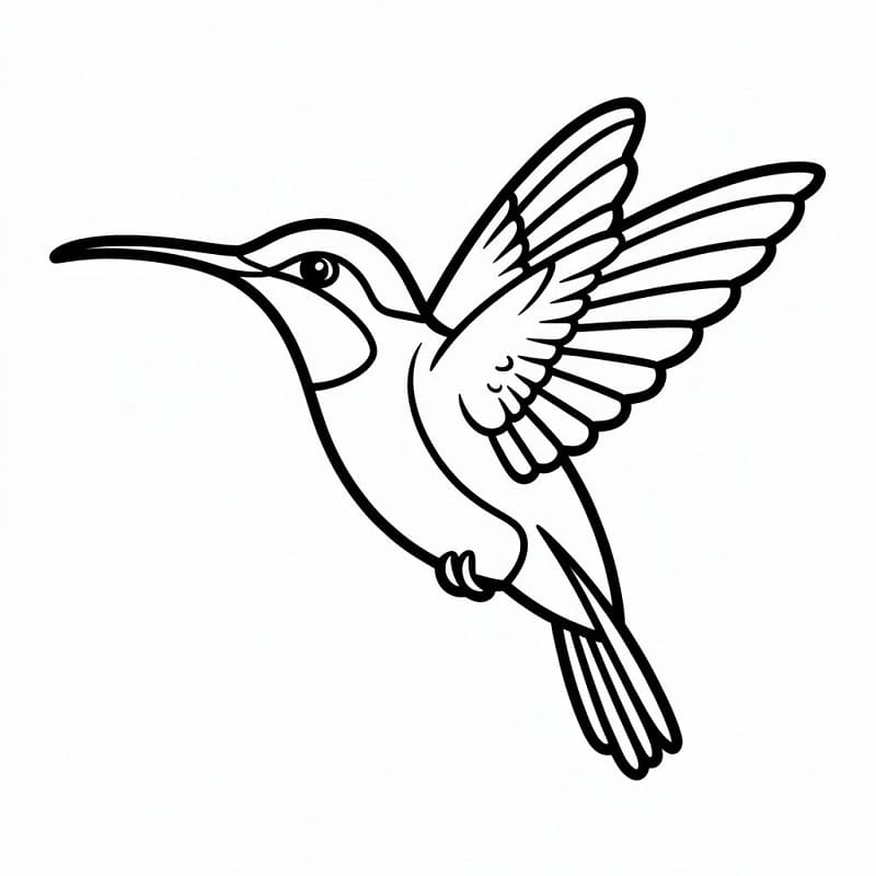 Comic-Kolibri ausmalbilder