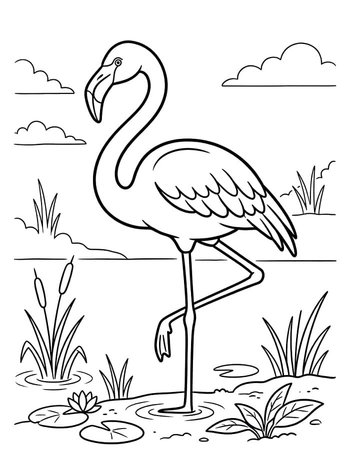 Cooler Flamingo ausmalbilder