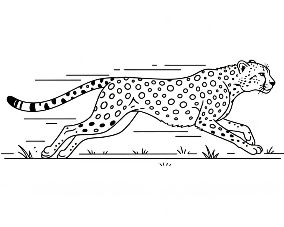 Cooler Gepard ausmalbilder