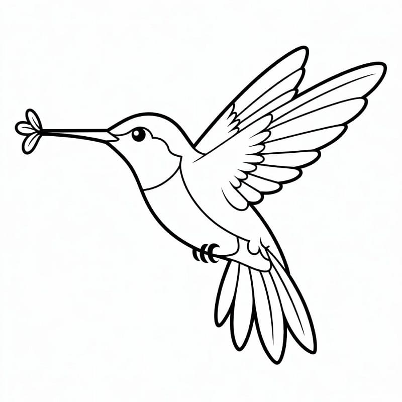Cooler Kolibri ausmalbilder