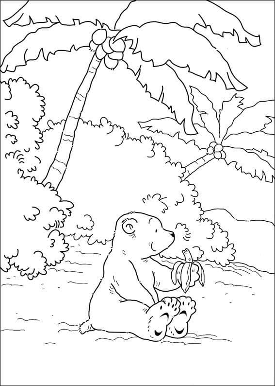 Der kleine Eisbär zum Drucken ausmalbilder