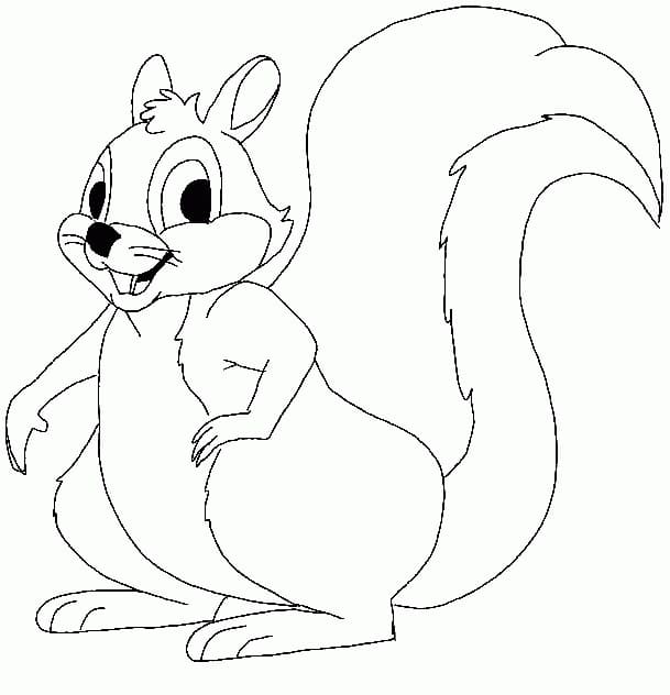 Druckbare Eichhörnchen Malbilder für Kinder ausmalbilder