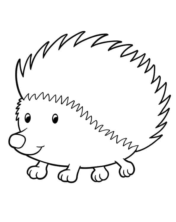 Druckbare Igel Malbilder für Kinder ausmalbilder