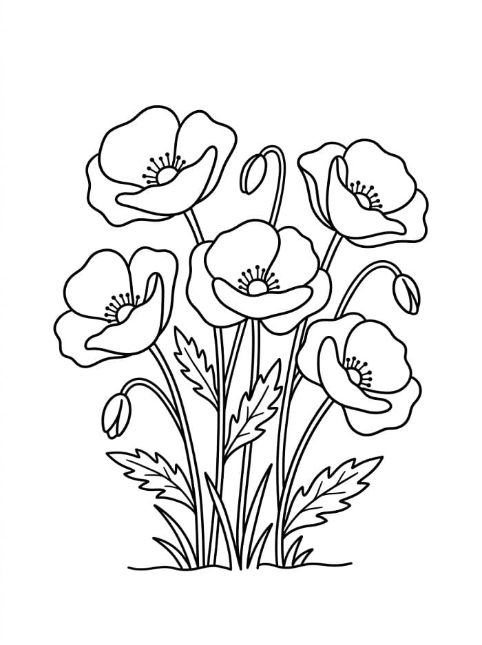 Druckbare Mohnblume ausmalbilder