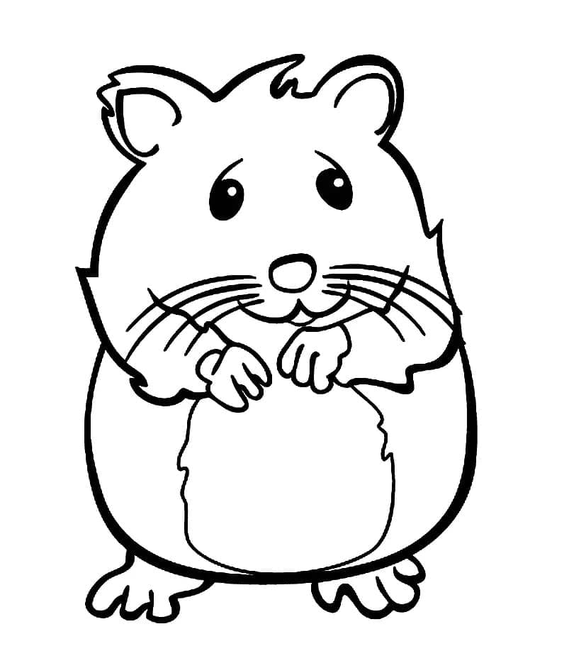 Druckbarer Hamster kostenlos ausmalbilder