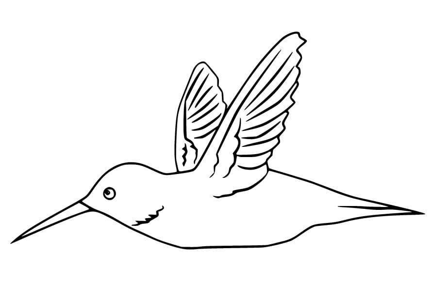 Druckbarer Kolibri für Kinder ausmalbilder