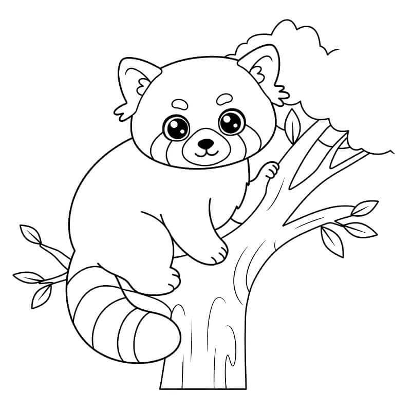 Druckbarer Roter Panda ausmalbilder