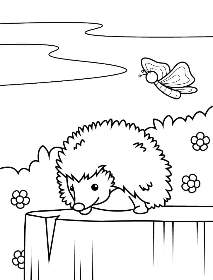 Druckbarer kostenloser Igel ausmalbilder