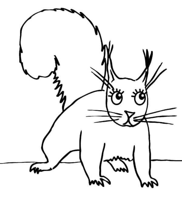 Druckbares Eichhörnchen Motiv ausmalbilder