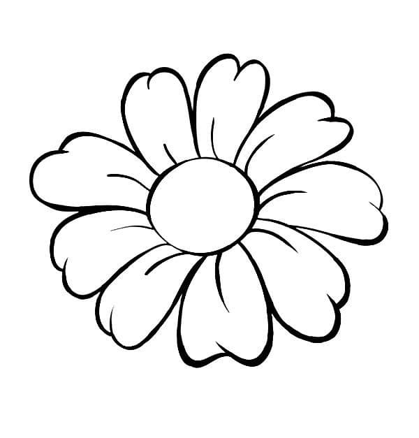Druckbares Gänseblümchen Bild ausmalbilder