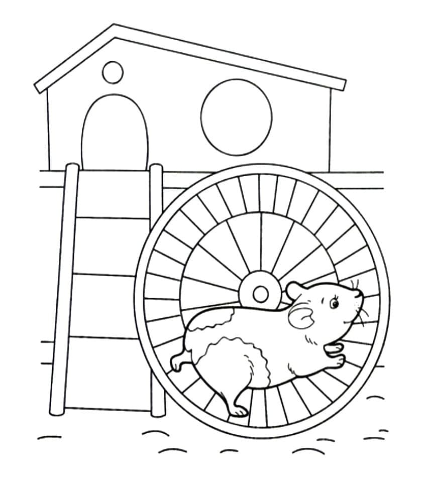 Druckbares Hamster Bild ausmalbilder