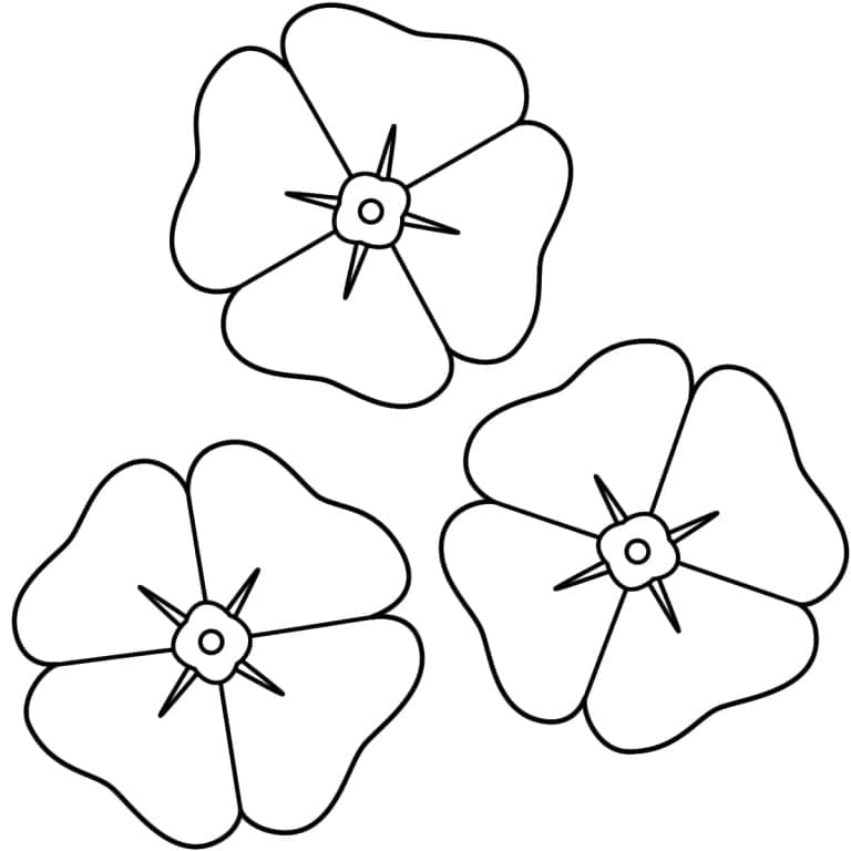 Druckbares Mohnblume Bild ausmalbilder
