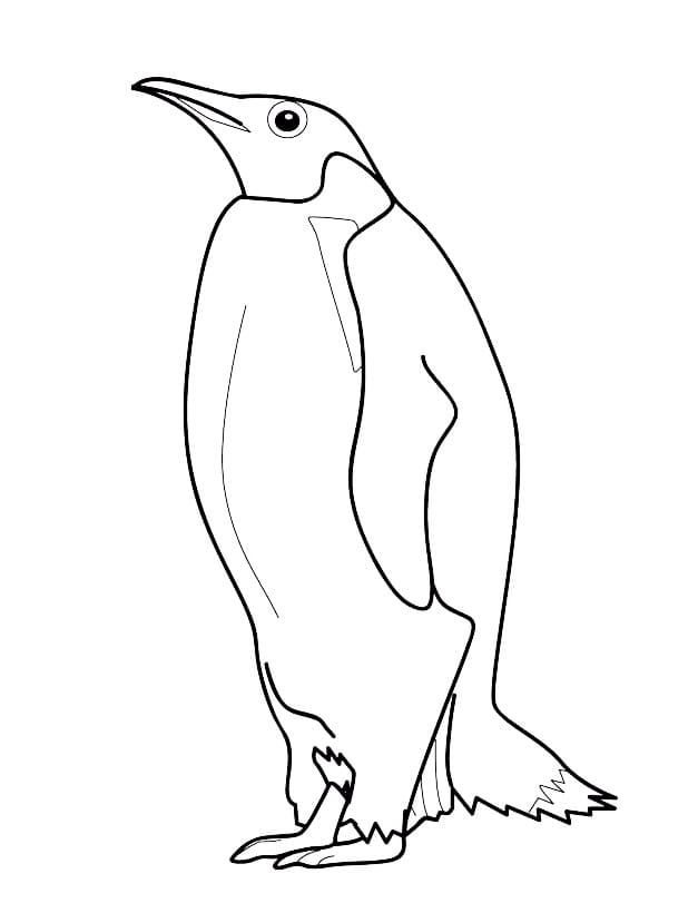 Druckbares Pinguin Bild ausmalbilder