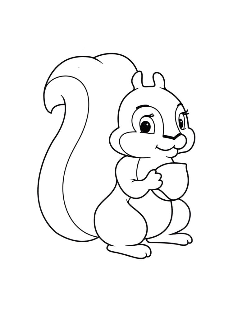 Eichhörnchen 2 ausmalbilder