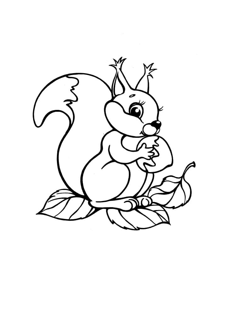 Eichhörnchen 3 ausmalbilder